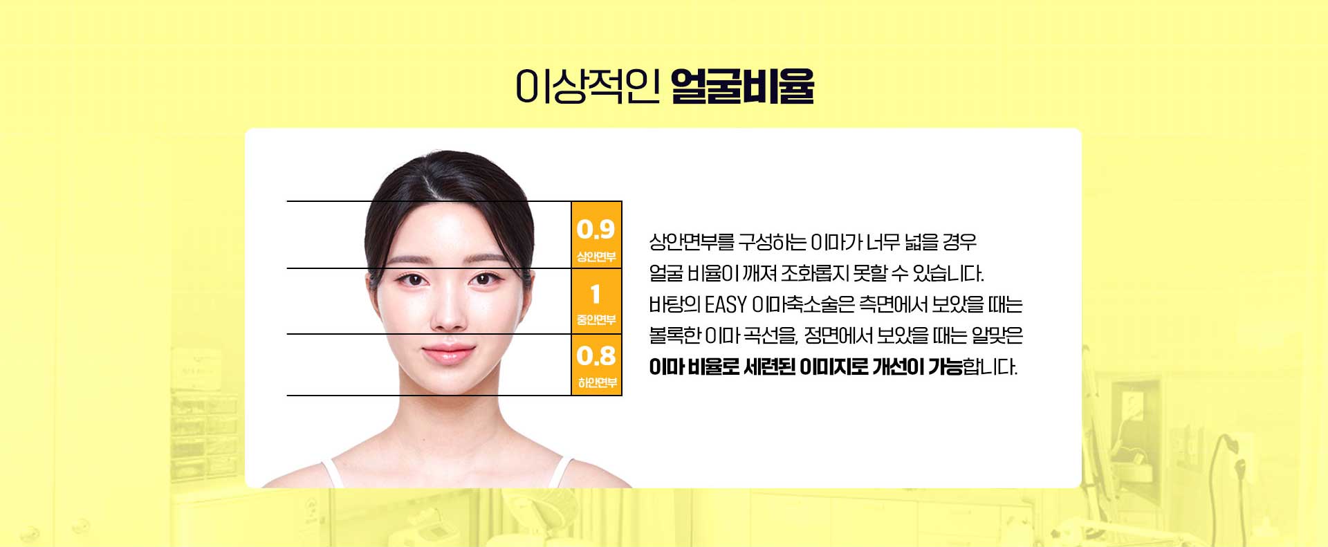 이상적인얼굴비율